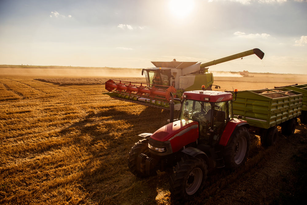 Exportations agricoles, le Canada connaîtra une croissance  VIVA MÉDIA