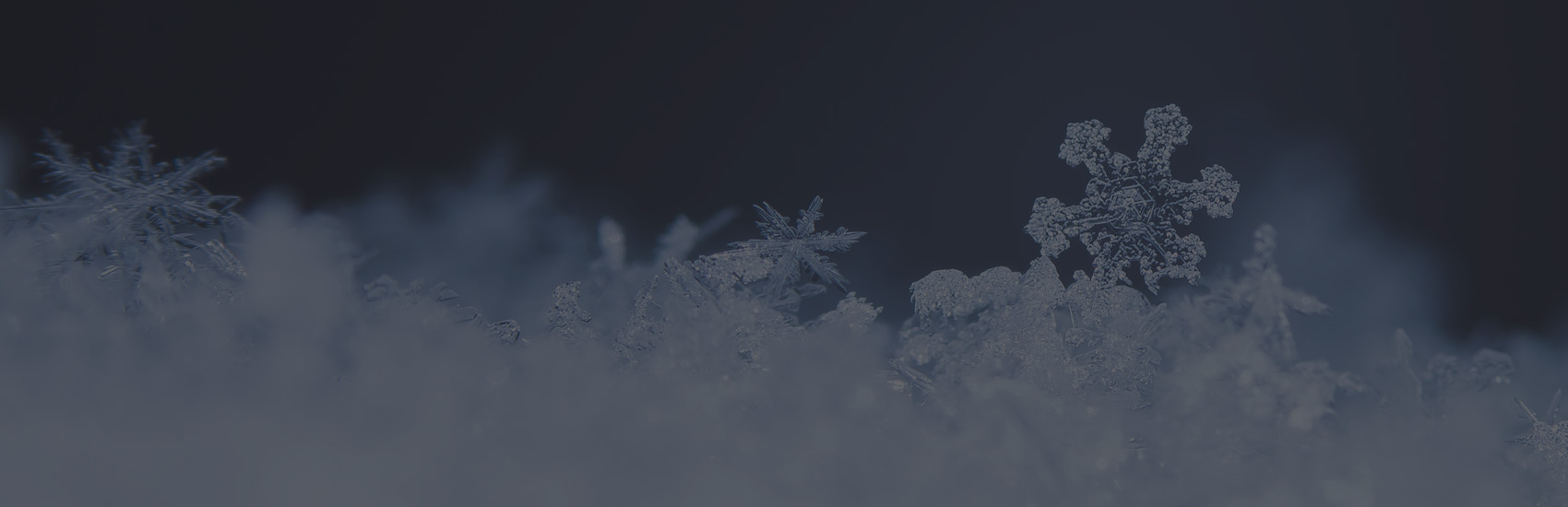 Quand la glace et les activités hivernales font bon ménage