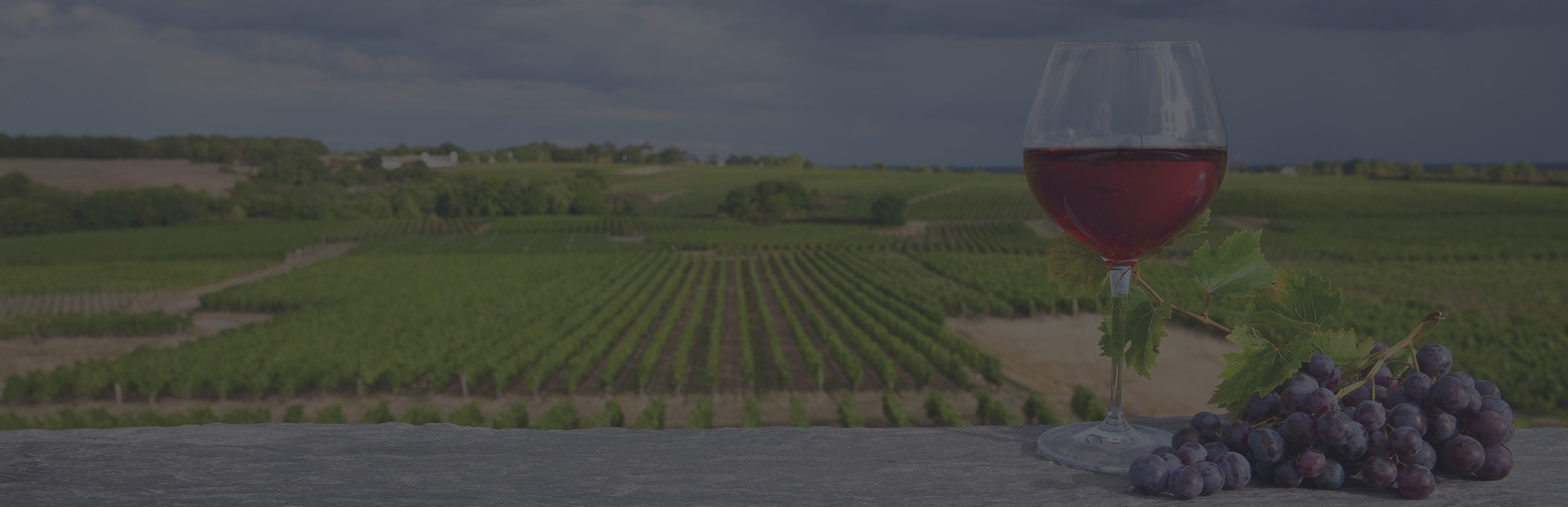 Découvrez les vignobles d’ici