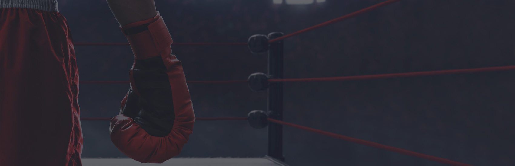 De superbes performances pour les combattants de Warriors Academy