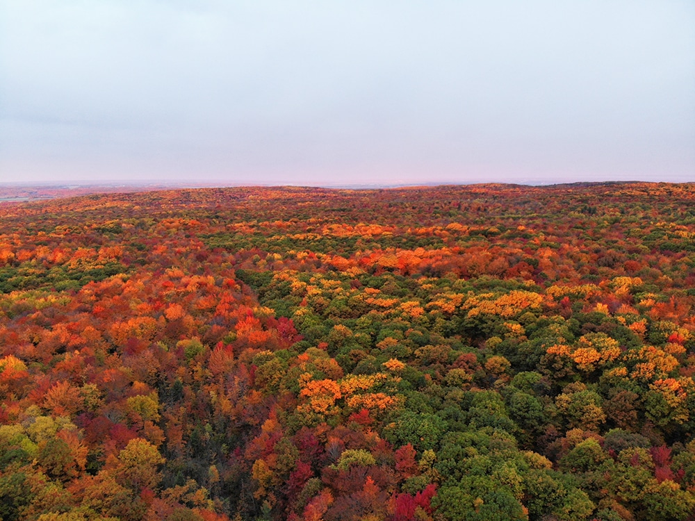 Faire fructifier le potentiel écologique et touristique du mont Rigaud